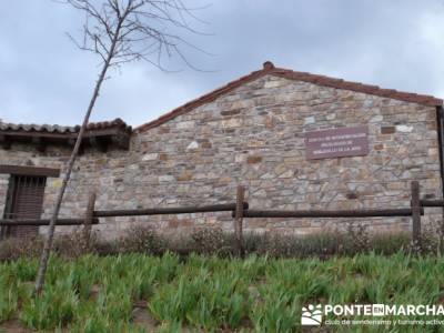 Senda Genaro - GR300 - Embalse de El Atazar -El Atazar - Robledillo de la Jara -Cervera de Buitrago